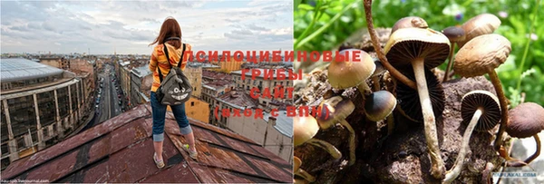 бутират Арсеньев
