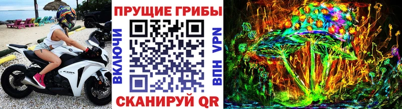Галлюциногенные грибы Cubensis  Строитель 