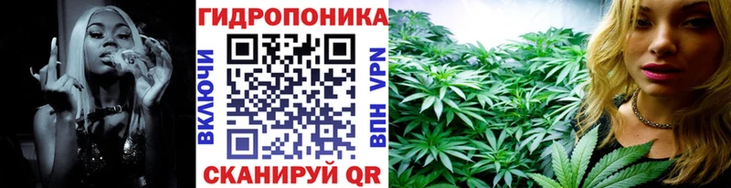 Бошки Шишки семена  Строитель 
